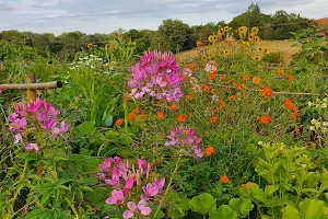 Le Potager de Nicolas image