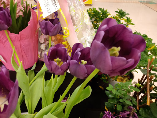 Grocery Store «Winn-Dixie», reviews and photos, 802 US-27, Avon Park, FL 33825, USA