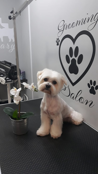 Golden Dog consulta veterinaria y peluquería canina y felina - Servicios para mascota en La Cala del Moral