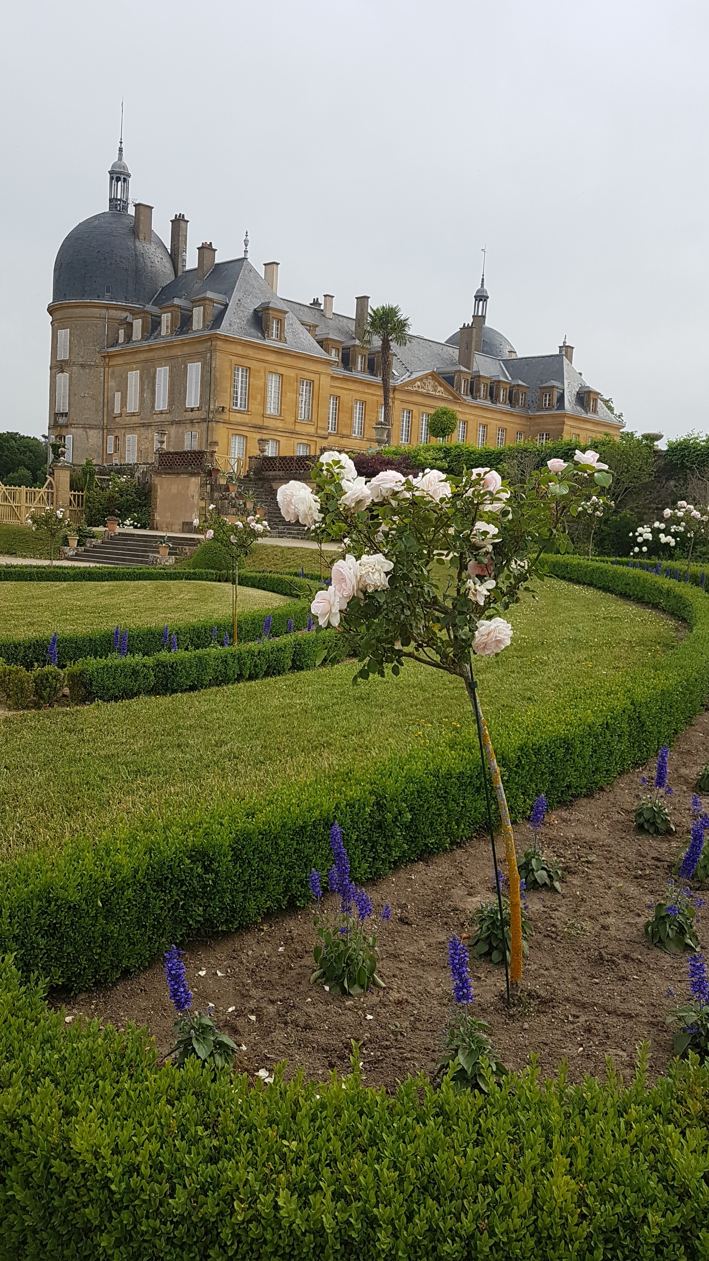 Photo n° 2 de l'avis de Dominique.r fait le 23/05/2022 à 16:43
