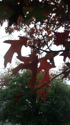 Park «Seahurst Park», reviews and photos, 1600 SW Seahurst Park Rd, Burien, WA 98166, USA