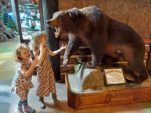 Sporting Goods Store «Bass Pro Shops», reviews and photos, 1935 S Campbell Ave, Springfield, MO 65807, USA