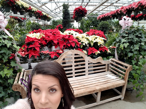 Florist «Nunan Florist & Greenhouses», reviews and photos, 269 Central St, Georgetown, MA 01833, USA