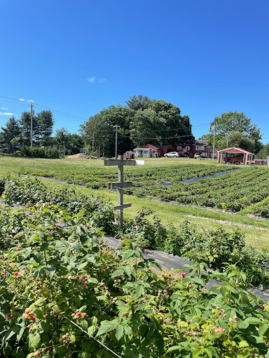 Farm «Bishop Farm & Winery Inc», reviews and photos, 500 S Meriden Rd, Cheshire, CT 06410, USA