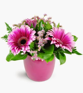 Florist «Donnelly Floral and Event Design», reviews and photos, 111 Sacramento St, Rio Vista, CA 94571, USA