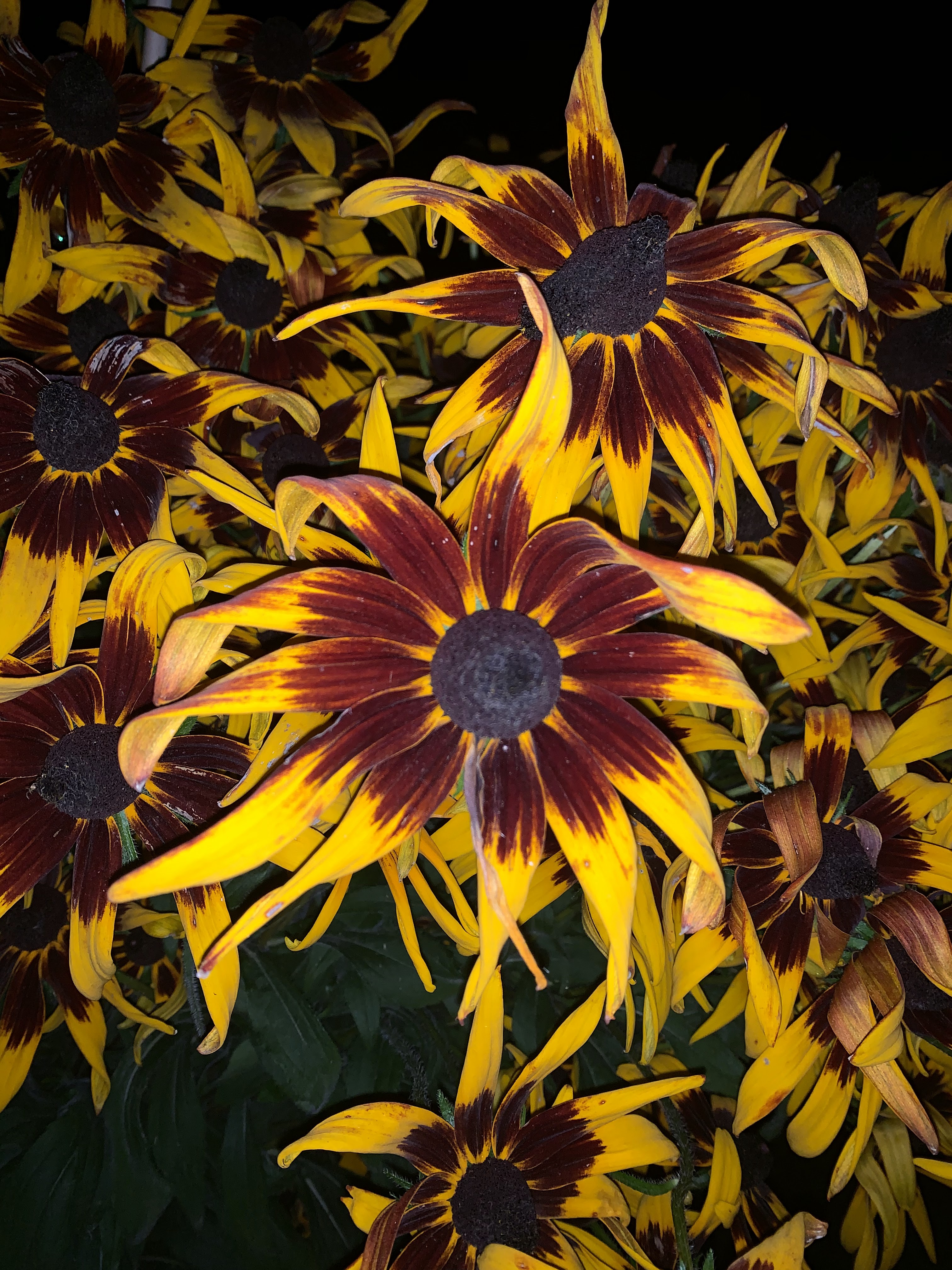 Photo n° 1 de l'avis de Jose.a fait le 01/05/2020 à 08:36