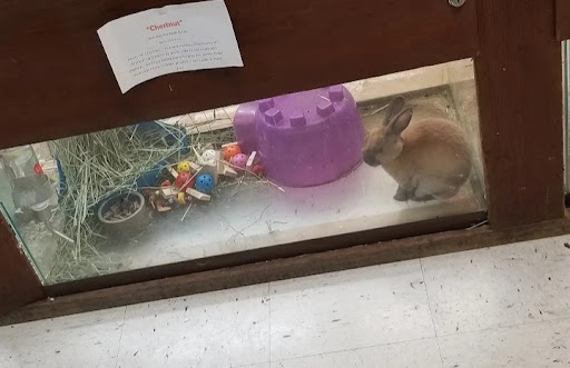 Pet Store «Pet World Warehouse Outlet», reviews and photos, 2148 W Beltline Hwy, Madison, WI 53713, USA