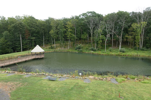 Winery «Casanel Vineyards», reviews and photos, 17956 Canby Rd, Leesburg, VA 20175, USA