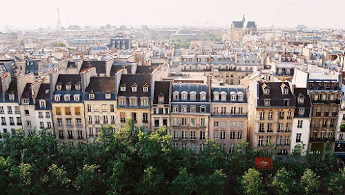 David Immobilier Gestion à Paris