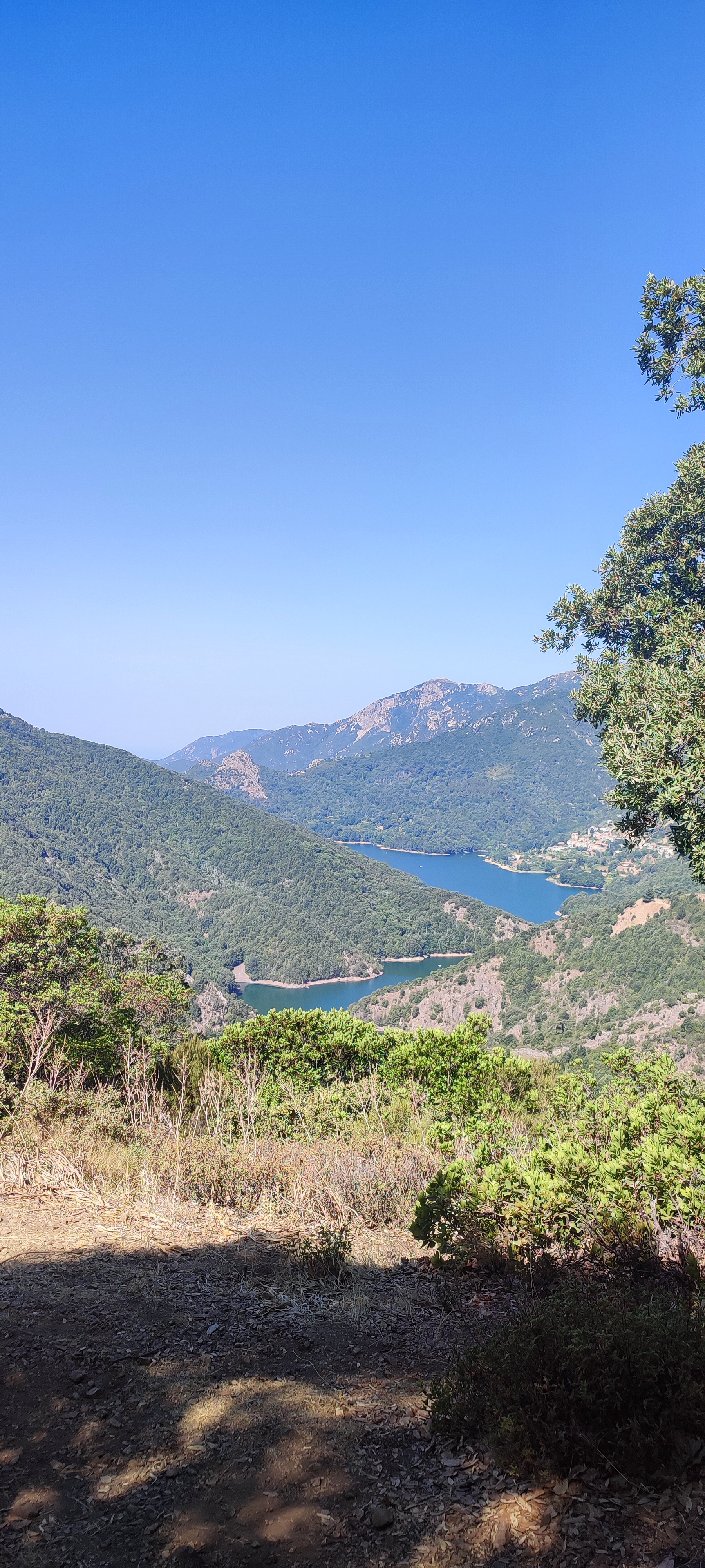 Photo n° 3 de l'avis de braulle.a fait le 25/07/2022 à 11:49