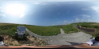 金浦原生花園