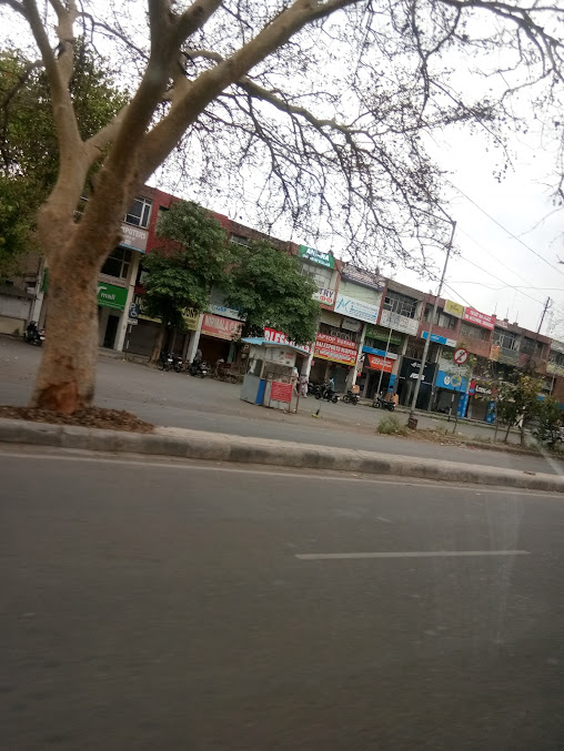 Google Maps image 21