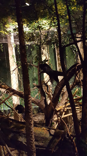 Zoo «Fragile Desert», reviews and photos, 3300 Golf Rd, Brookfield, IL 60513, USA