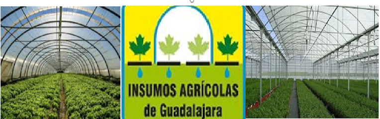 Insumos Agricolas de Guadalajara S.A. de C.V.