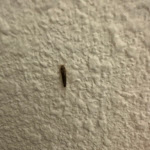 Photo n°3 de l'avis de Sascha.i fait le 16/04/2024 à 11:31 sur le  ibis budget Karlsruhe à Karlsruhe