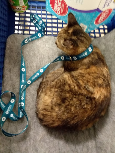 Pet Supply Store «PetSmart», reviews and photos, 1050 McKinley Pl Dr #30, San Marcos, TX 78666, USA