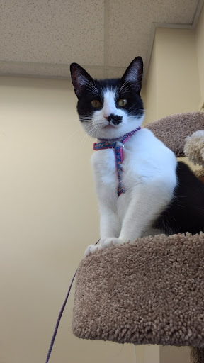 Pet Supply Store «Petco Animal Supplies», reviews and photos, 9687 Kenwood Rd, Blue Ash, OH 45242, USA