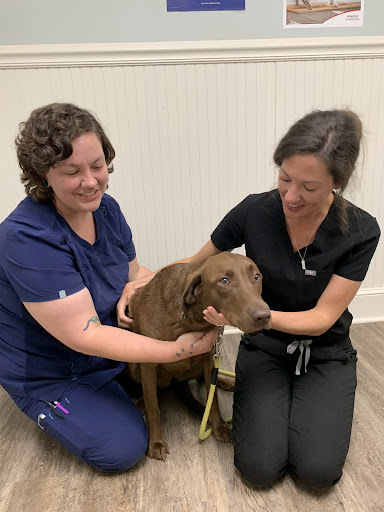 Chinquapin Animal Hospital image