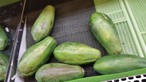 Asian Grocery Store «Lily Market», reviews and photos, 11001 NE Halsey St, Portland, OR 97220, USA