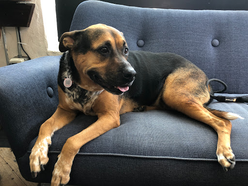 Hair Salon «Contesta Rock Hair», reviews and photos, 417 Española Way, Miami Beach, FL 33139, USA