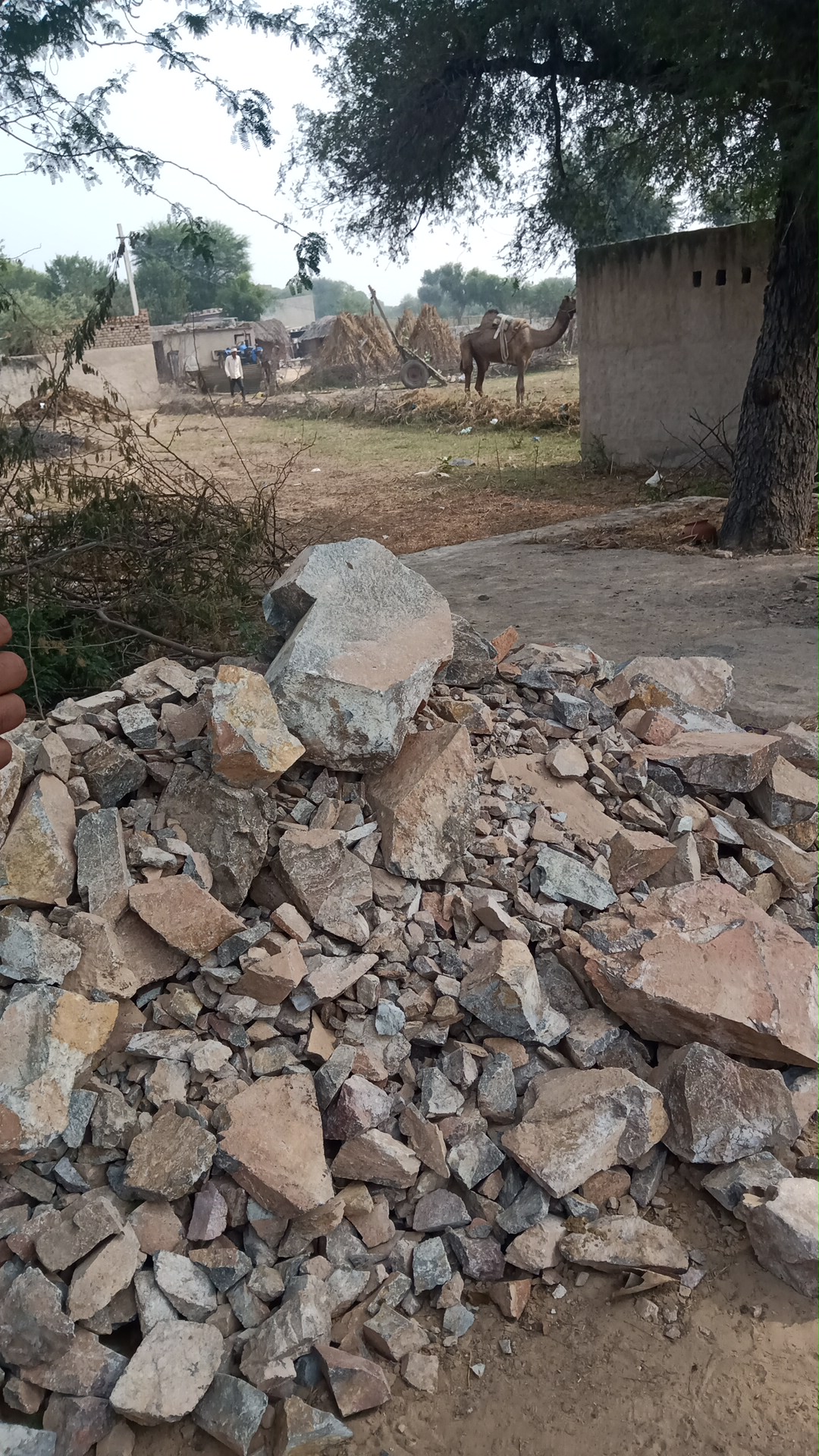 Malasi Mandir