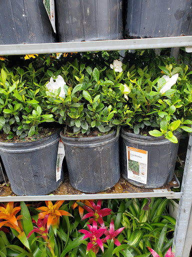 Home Improvement Store «The Home Depot», reviews and photos, 2421 Old Taylor Rd, Chesapeake, VA 23321, USA