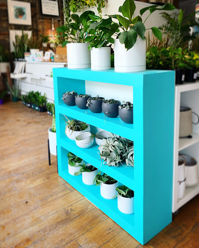 Jardinerie The Plant Shelf à Kingston (ON) | LiveWay