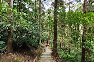 Manyueyuan National Forest Recreation Area image