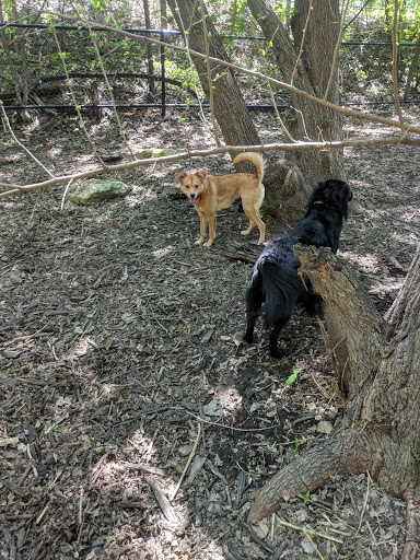 Park «Lake of the Isles Dog Park», reviews and photos, 2845 W Lake of the Isles Pkwy, Minneapolis, MN 55405, USA