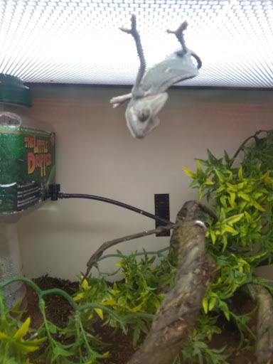 Pet Supply Store «Pet Supplies Plus», reviews and photos, 21703 Village Lakes Shopping Center Dr, Land O Lakes, FL 34639, USA