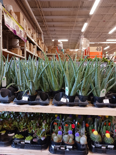 Home Improvement Store «The Home Depot», reviews and photos, 6555 Little River Turnpike, Alexandria, VA 22312, USA