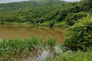 Shirgaon Lake image