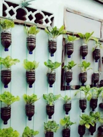 Campo de esparcimiento mallma