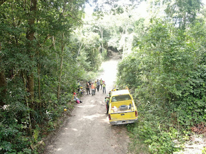 SOSETEC Selvas de Calakmul