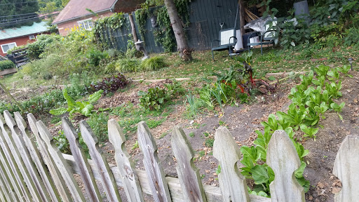 Comic Book Store «Beyond Comics», reviews and photos, 207 S Princess St, Shepherdstown, WV 25443, USA