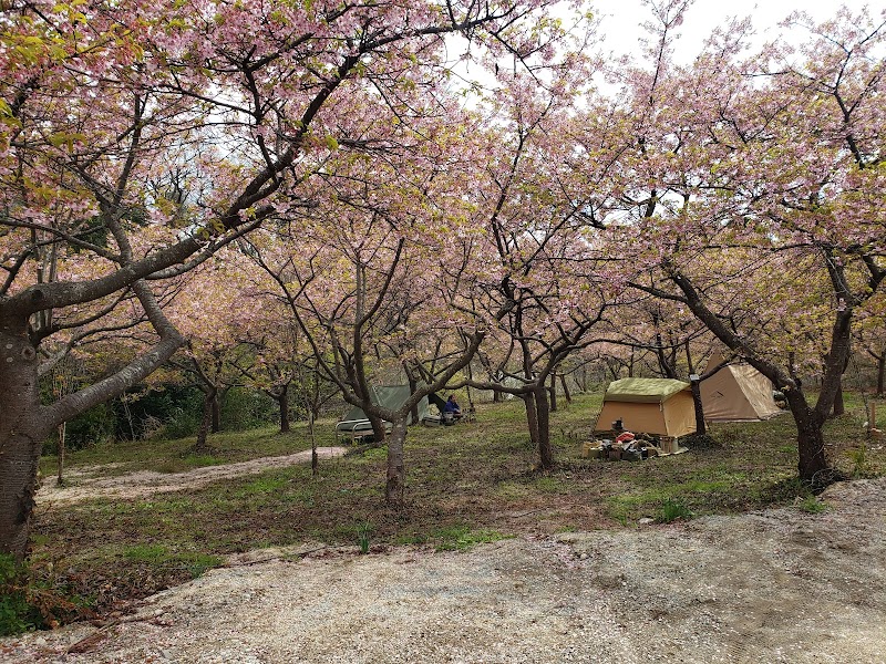 ジビエと桃源郷の森キャンプ場