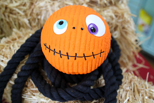 Pet Supply Store «Paws & Claws», reviews and photos, 1803 Augusta St, Greenville, SC 29605, USA