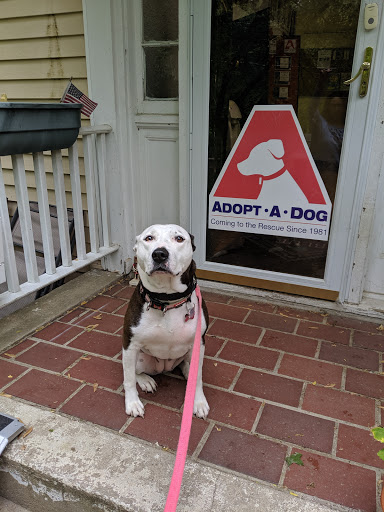 Adopt-A-Dog Inc. image 5
