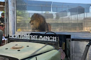 Lion Habitat Ranch inc image