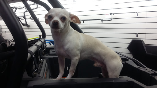 Motorcycle Dealer «MR Motorcycle», reviews and photos, 774 Hendersonville Rd, Asheville, NC 28803, USA