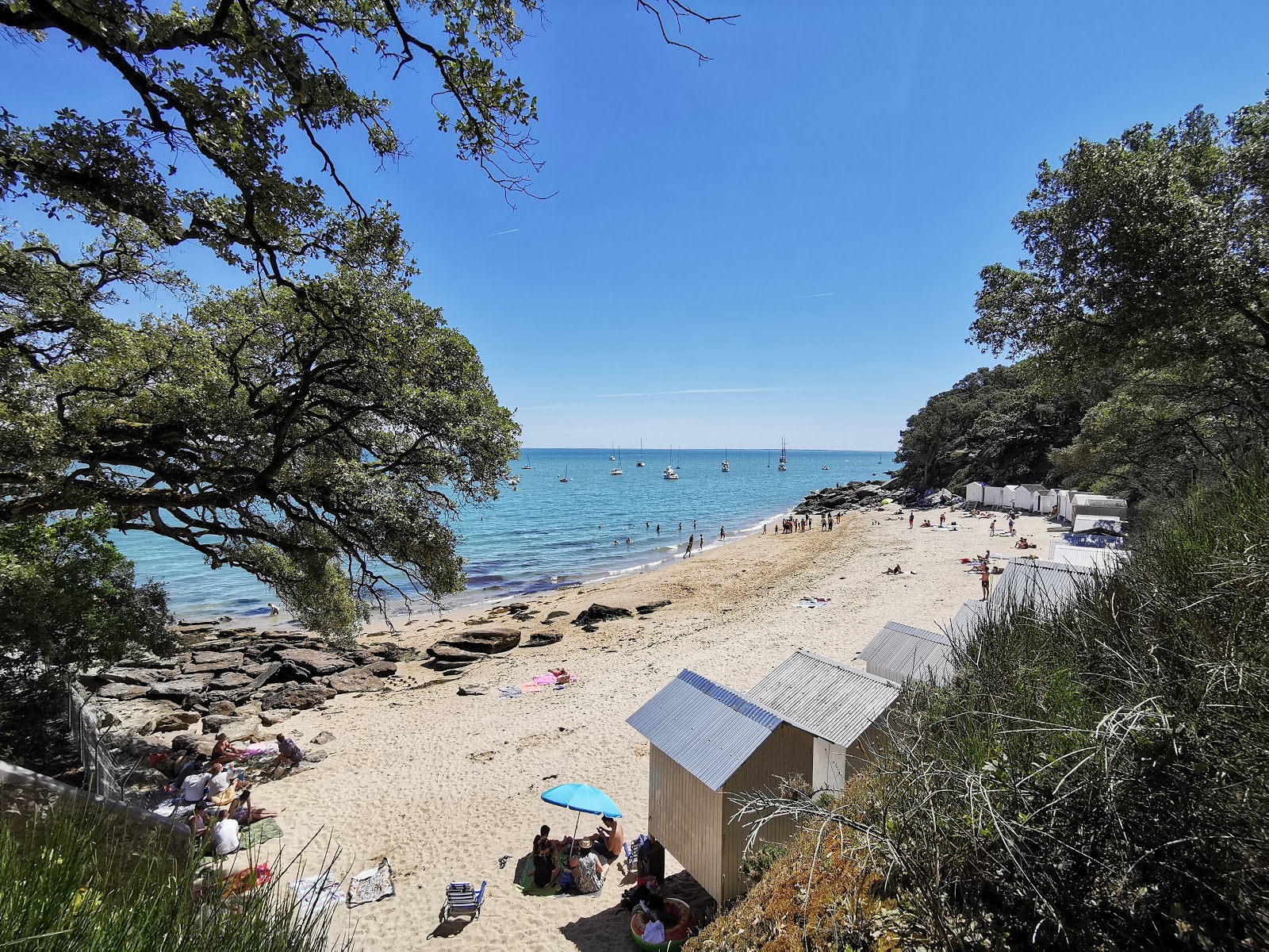 Plage de l'Anse Rouge'in fotoğrafı çok temiz temizlik seviyesi ile