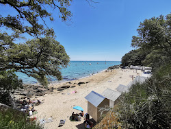 Plage de l'Anse Rouge'in fotoğrafı çok temiz temizlik seviyesi ile