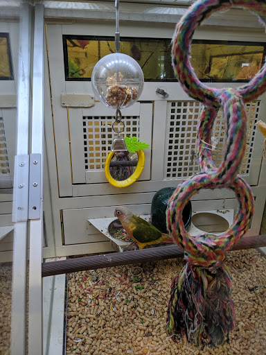 Pet Supply Store «PetSmart», reviews and photos, 315 Gellert Blvd, Daly City, CA 94015, USA