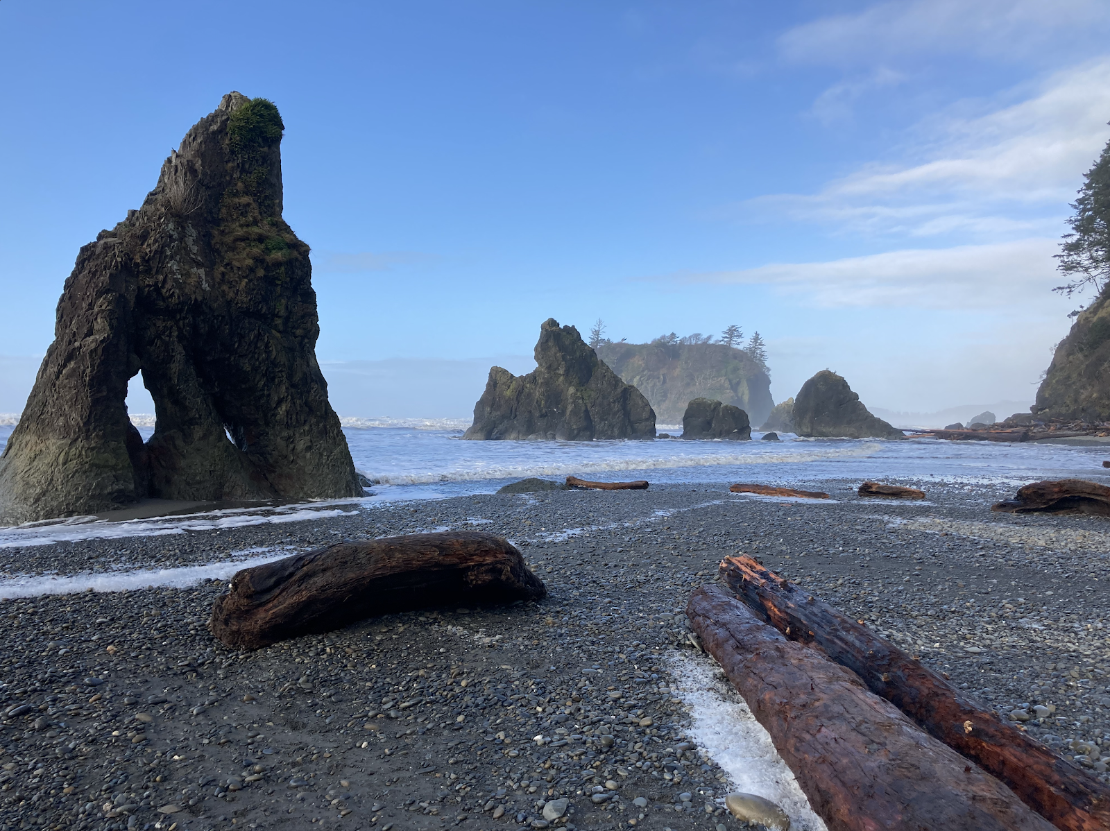 Zdjęcie Ruby Beach dziki obszar