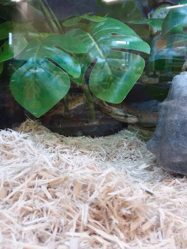 Pet Supply Store «Petco Animal Supplies», reviews and photos, 1963 S Hurstbourne Pkwy, Louisville, KY 40220, USA