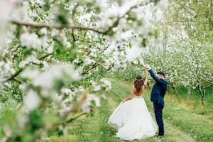 Kurtz Orchards Weddings Niagara on the Lake image