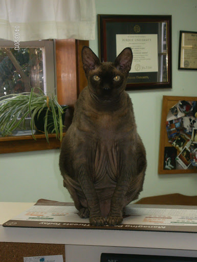 428 NH-108, Somersworth, NH 03878, USA