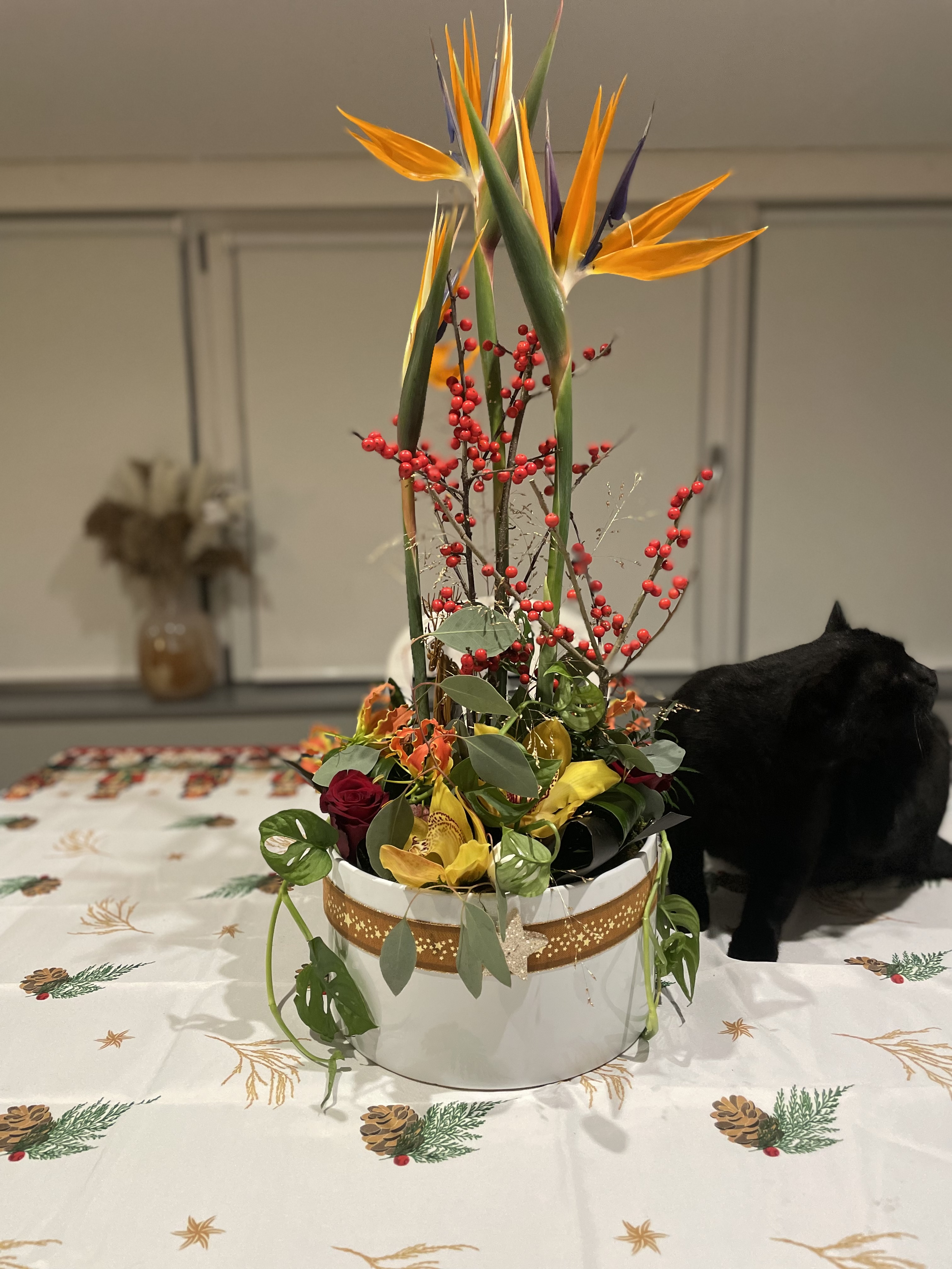 Photo n° 1 de l'avis de Tom.o fait le 23/12/2023 à 17:58