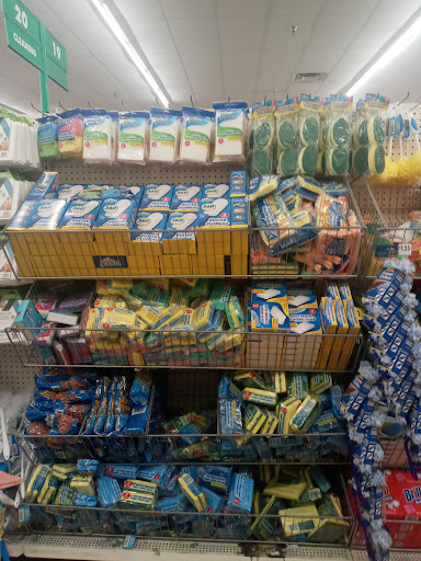 Dollar Store «Dollar Tree», reviews and photos, 9221 N 56th St, Temple Terrace, FL 33617, USA