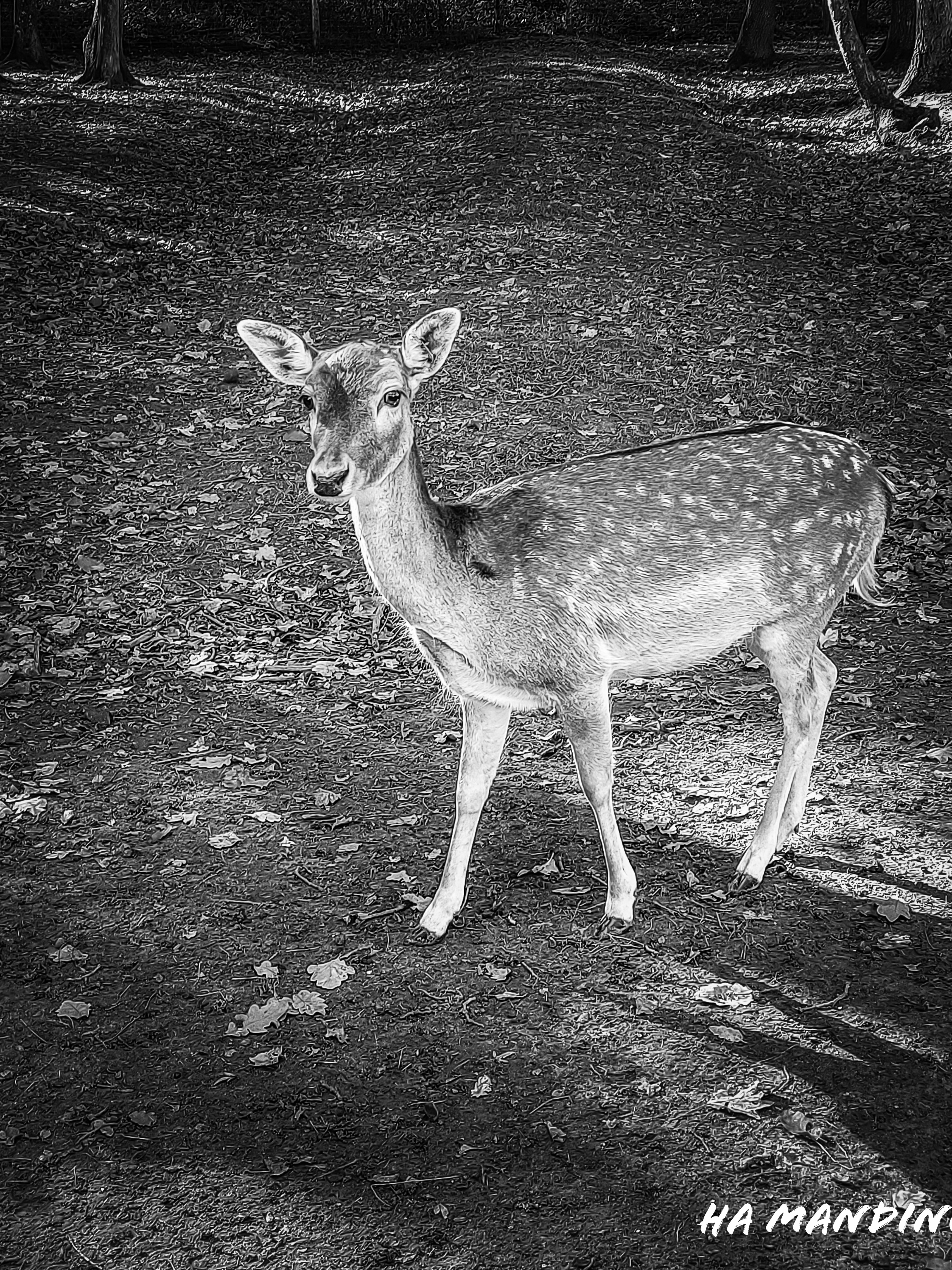 Photo n° 3 de l'avis de ha.a fait le 29/11/2020 à 13:23